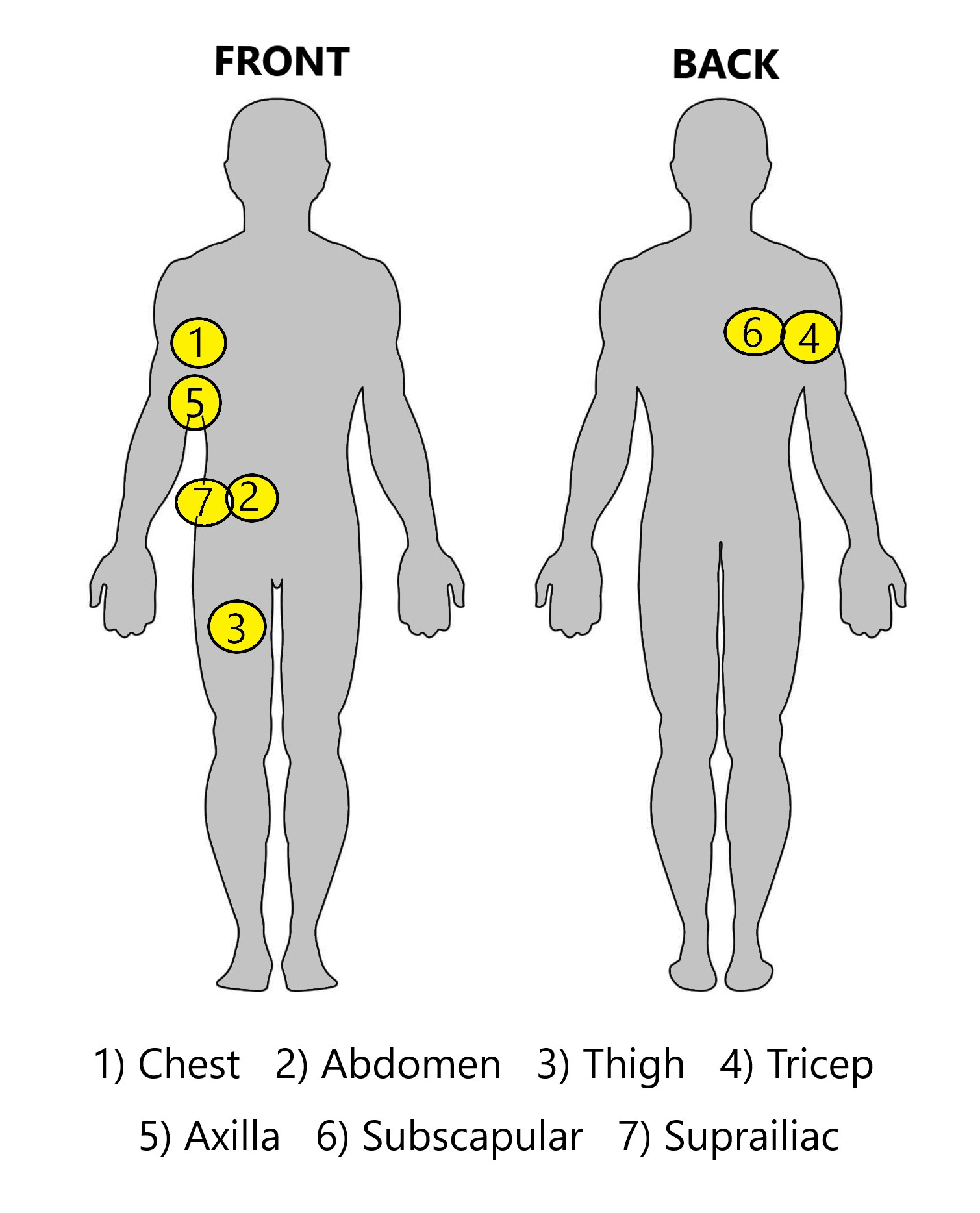 body outline showing sites to be measured with fat calipers