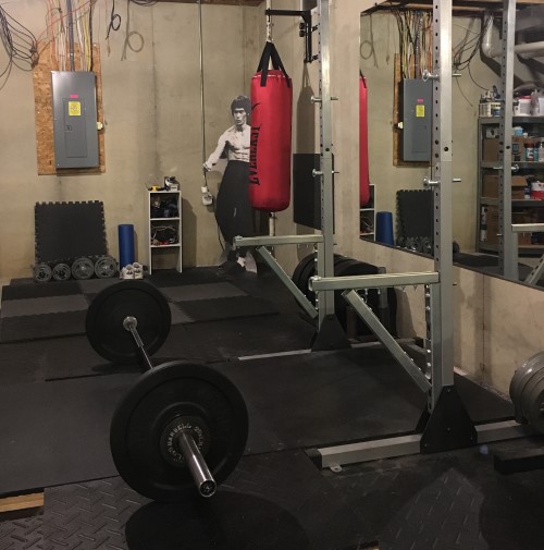 picture of Cats & Kilos basement gym