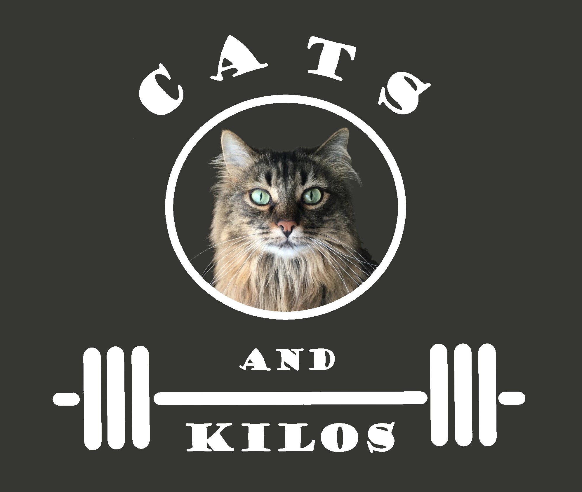 cats and kilos background image